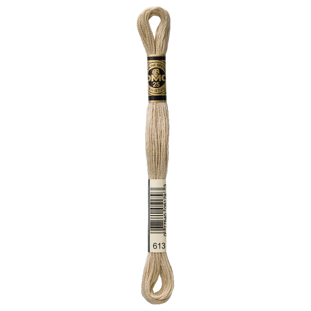DMC #117 Cotton 6 Strand Floss 8m - 613