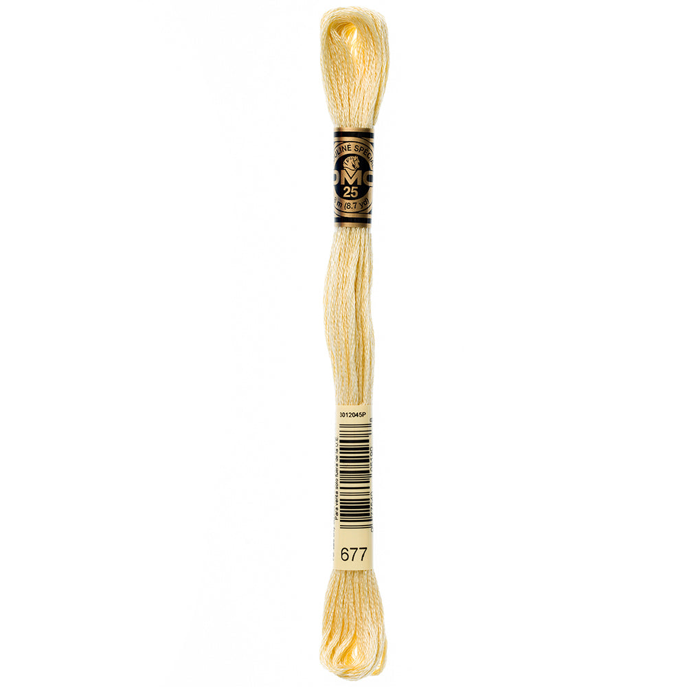 DMC #117 Cotton 6 Strand Floss 8m - 677