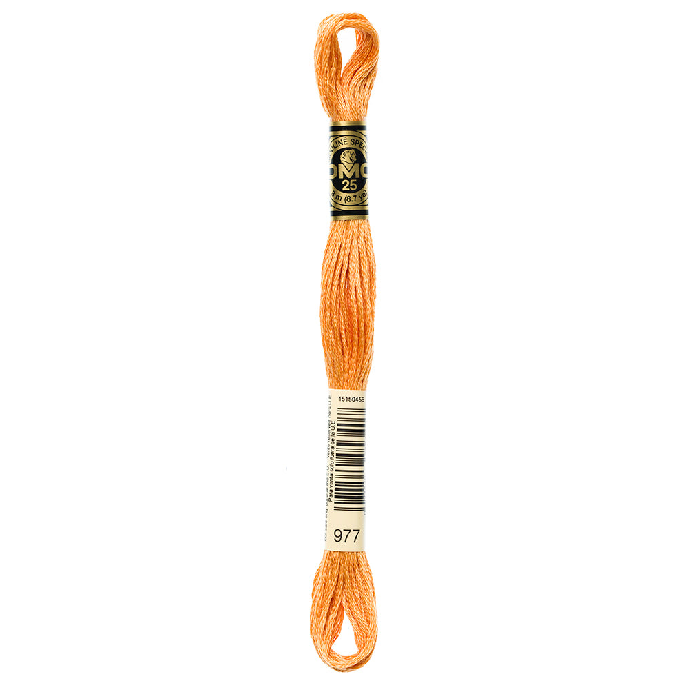 DMC #117 Cotton 6 Strand Floss 8m - 977