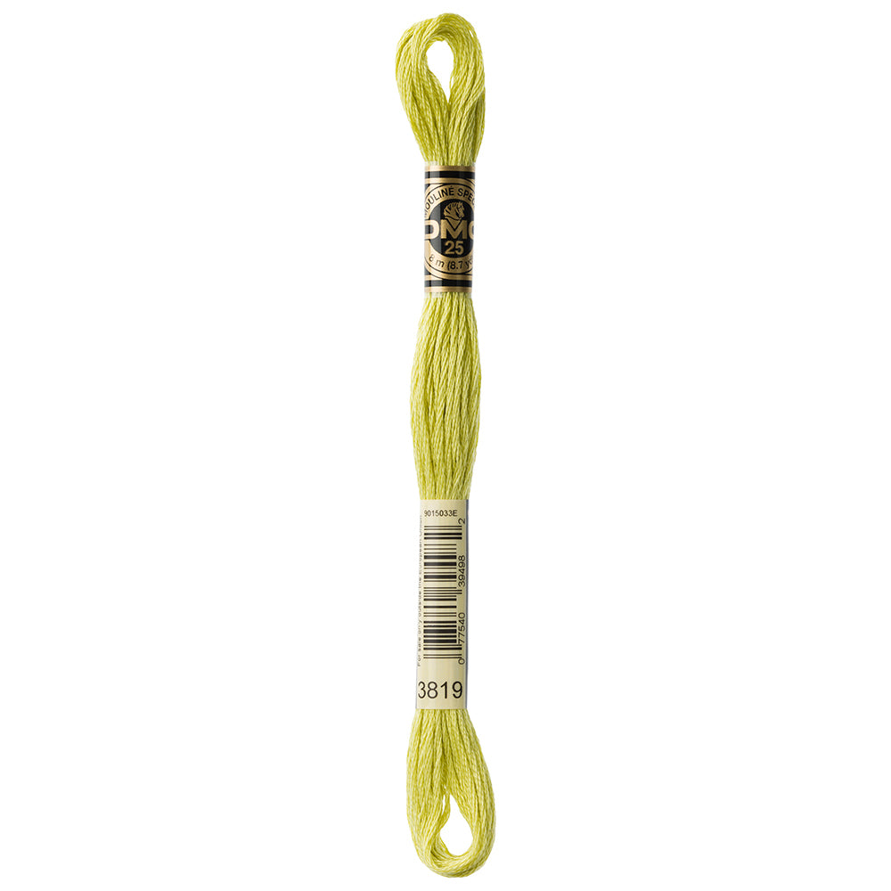 DMC #117 Cotton 6 Strand Floss 8m - 3819