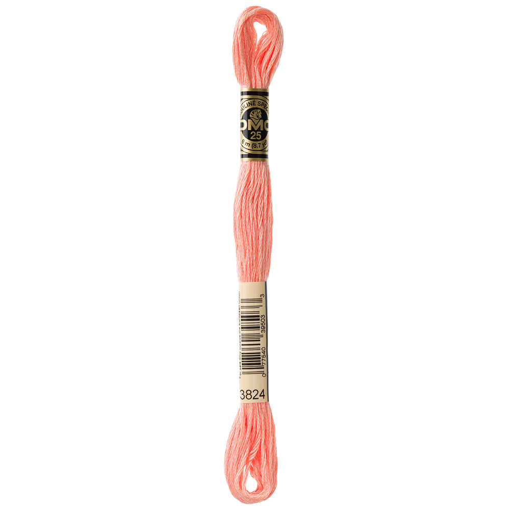 DMC #117 Cotton 6 Strand Floss 8m - 3824