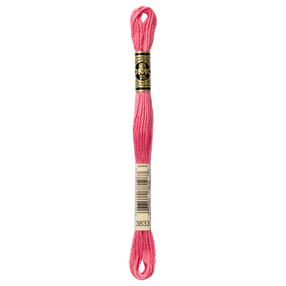 DMC #117 Cotton 6 Strand Floss 8m - 3833
