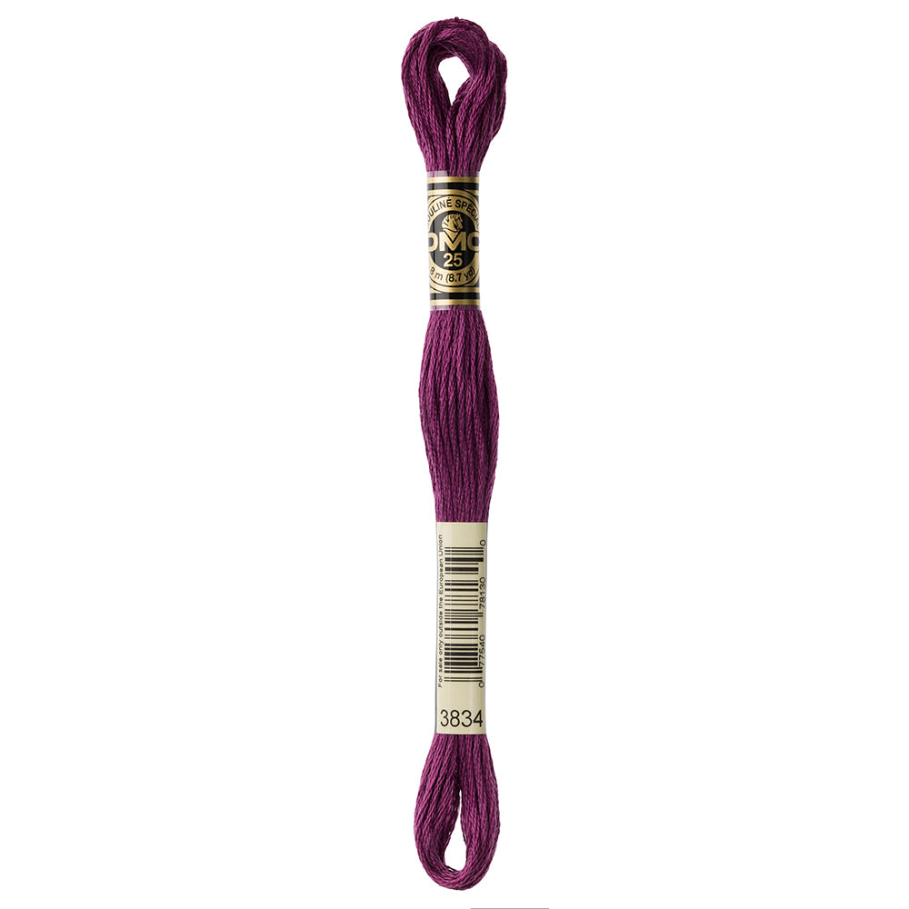 DMC #117 Cotton 6 Strand Floss 8m - 3834