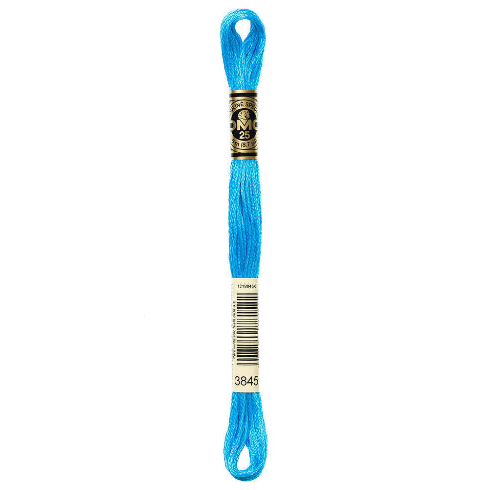 DMC #117 Cotton 6 Strand Floss 8m - 3845