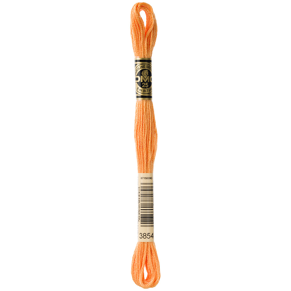 DMC #117 Cotton 6 Strand Floss 8m - 3854