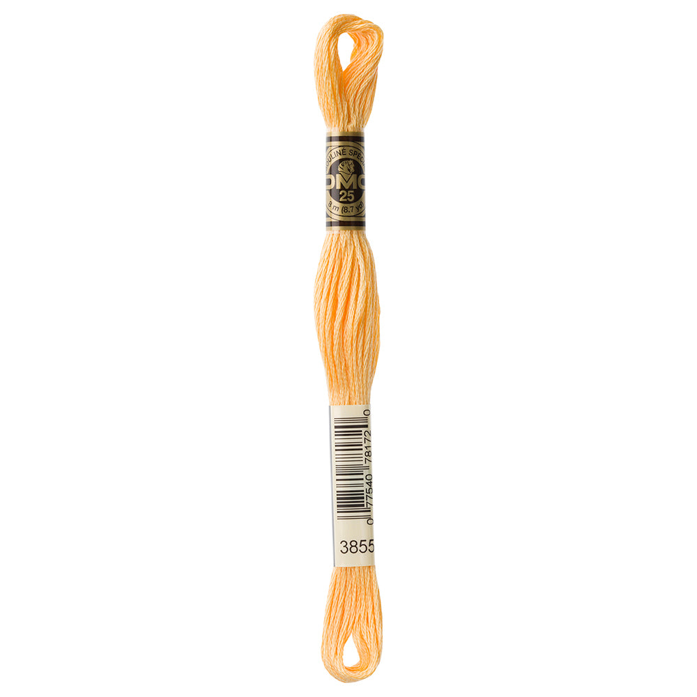 DMC #117 Cotton 6 Strand Floss 8m - 3855