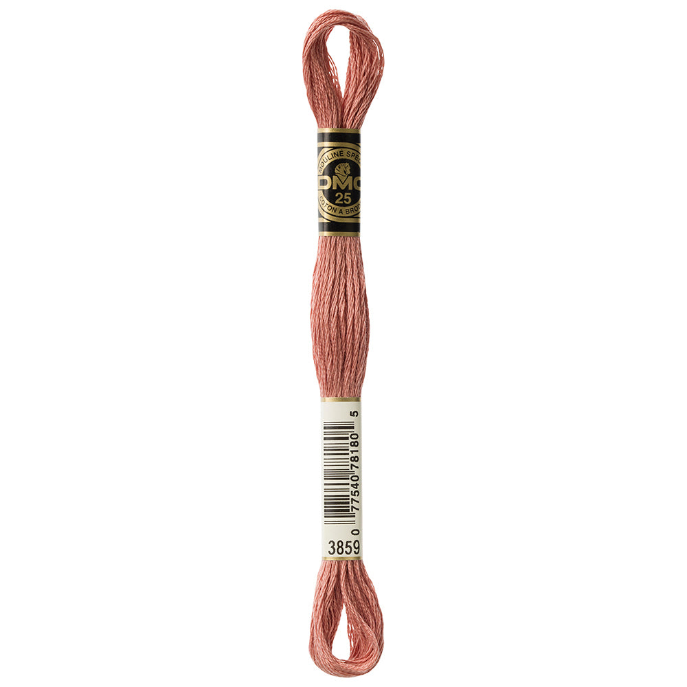 DMC #117 Cotton 6 Strand Floss 8m - 3859