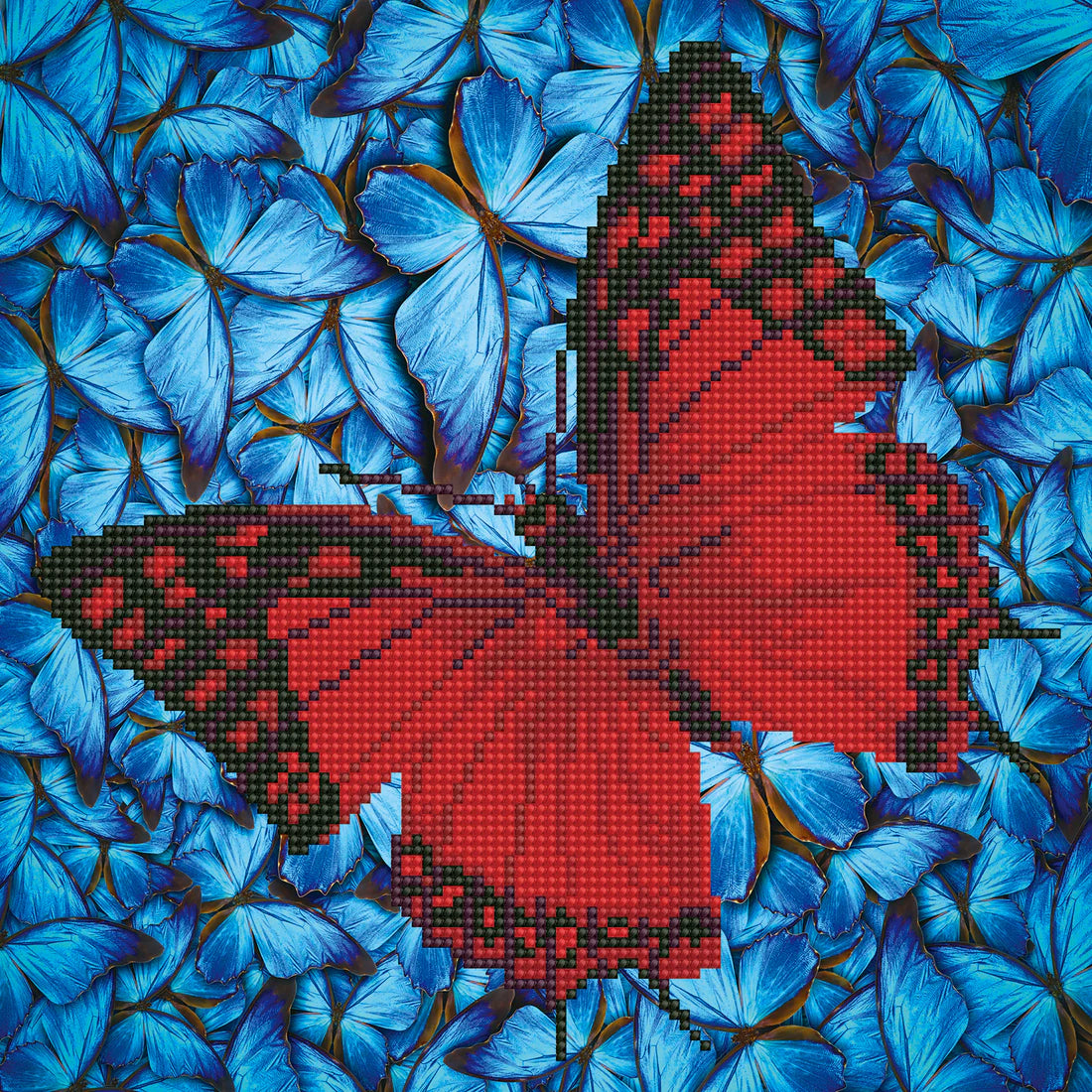 Flutterby Red 38X38