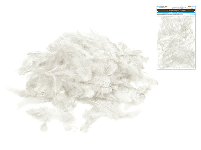 Feather Craft: 12g Craft Feathers 2"-3.5" H) White