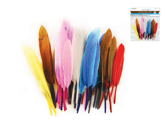 Feather Craft: 4"-6" Goose Feathers X50 I) Multi Mix
