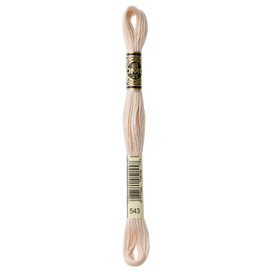 DMC #117 Cotton 6 Strand Floss 8m - 543