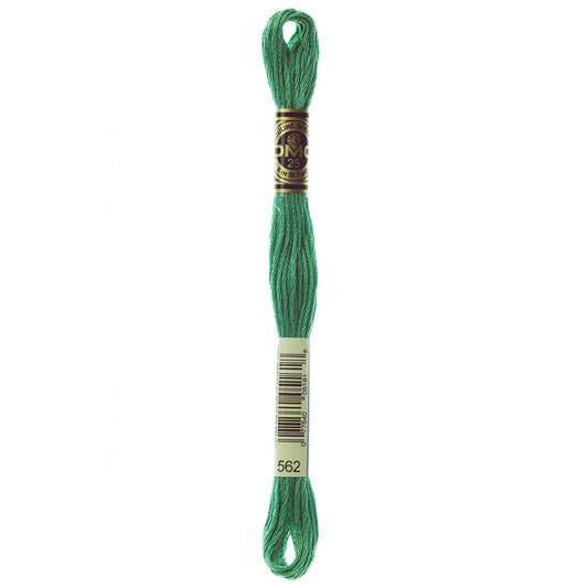 DMC #117 Cotton 6 Strand Floss 8m - 562