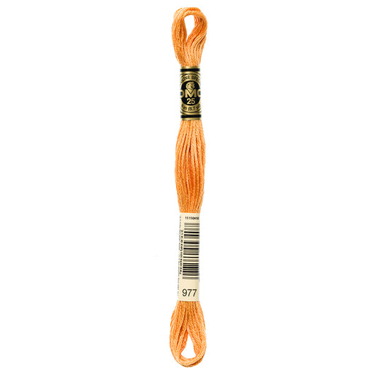 DMC #117 Cotton 6 Strand Floss 8m - 977