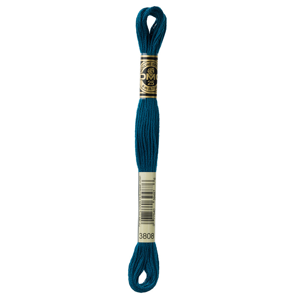DMC #117 Cotton 6 Strand Floss 8m - 3808