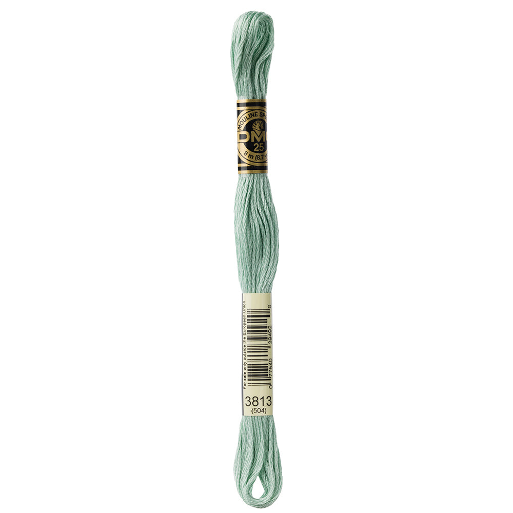 DMC #117 Cotton 6 Strand Floss 8m - 3813