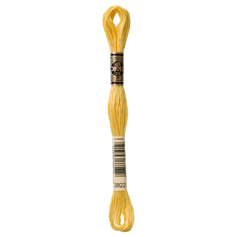 DMC #117 Cotton 6 Strand Floss 8m - 3822