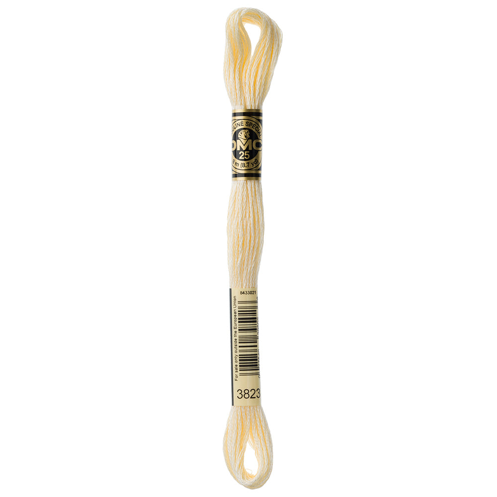 DMC #117 Cotton 6 Strand Floss 8m - 3823