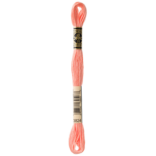 DMC #117 Cotton 6 Strand Floss 8m - 3824