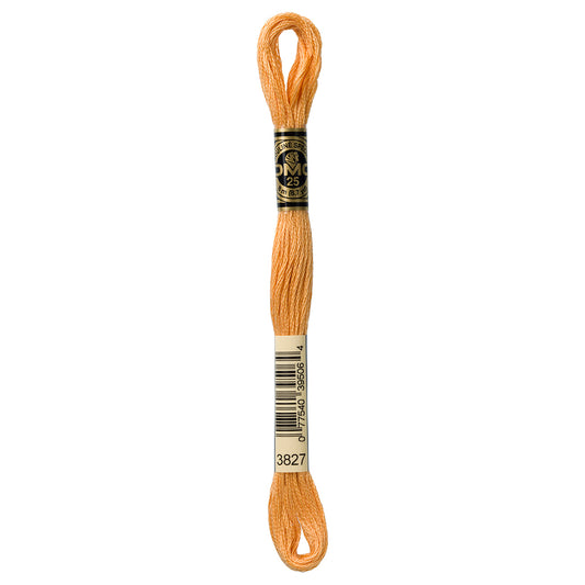 DMC #117 Cotton 6 Strand Floss 8m - 3827