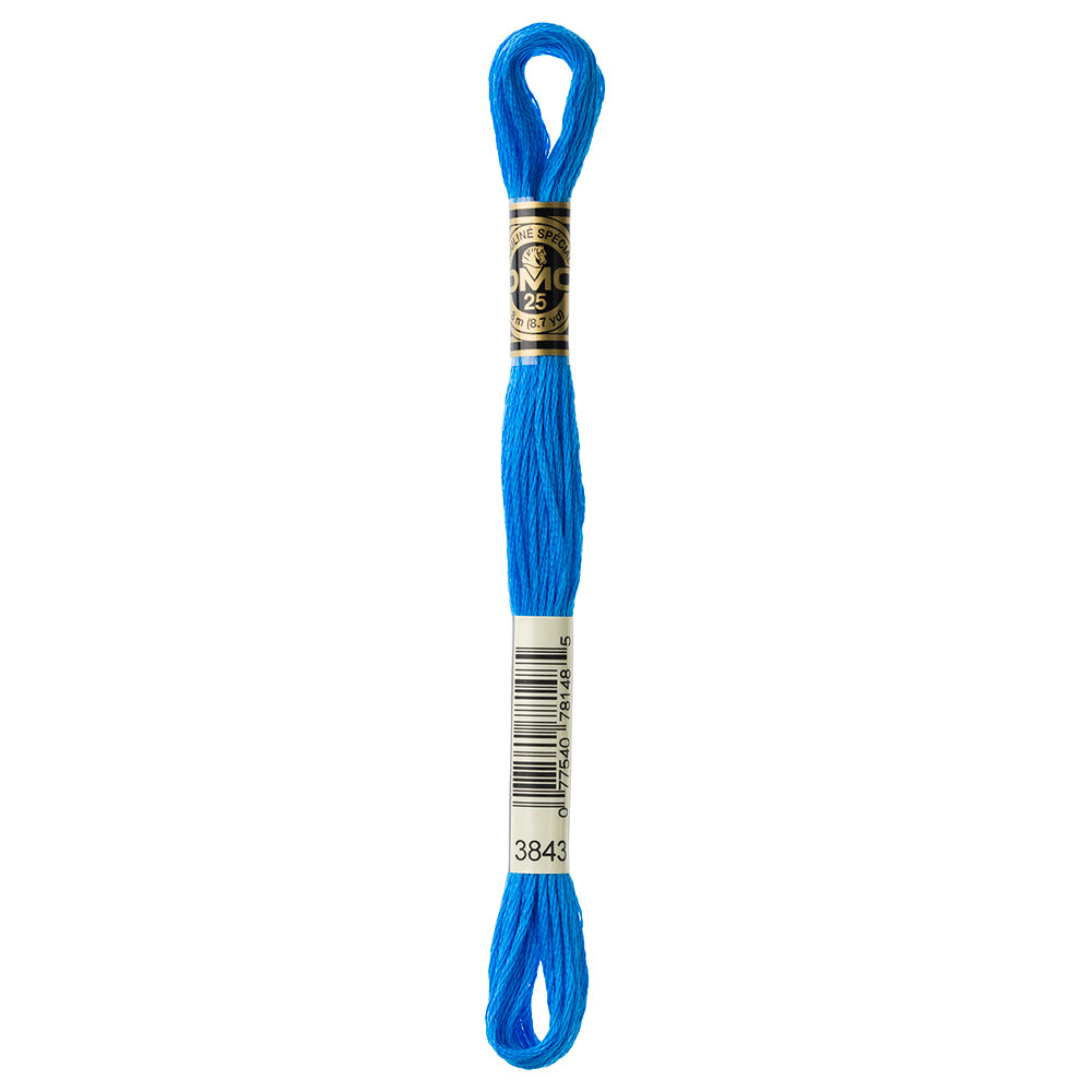 DMC #117 Cotton 6 Strand Floss 8m - 3843