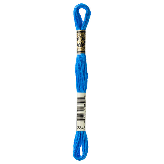 DMC #117 Cotton 6 Strand Floss 8m - 3843