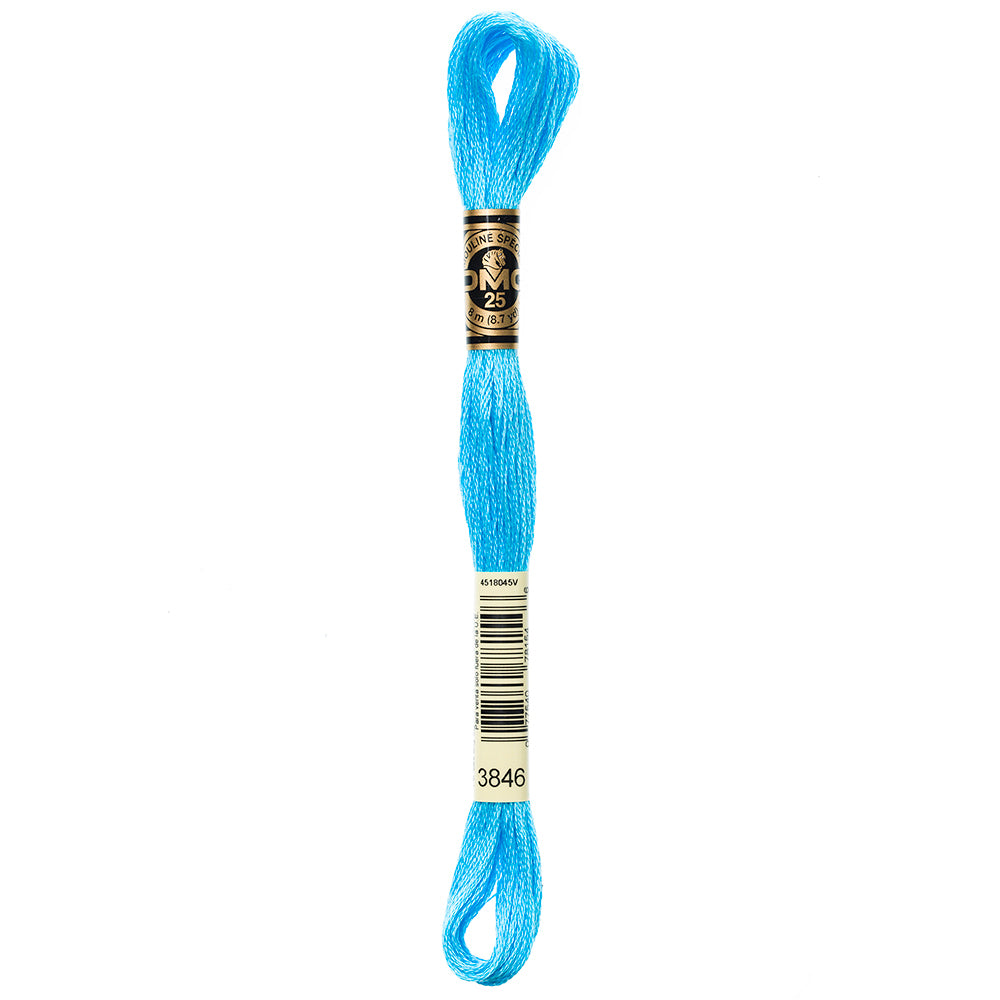 DMC #117 Cotton 6 Strand Floss 8m - 3846