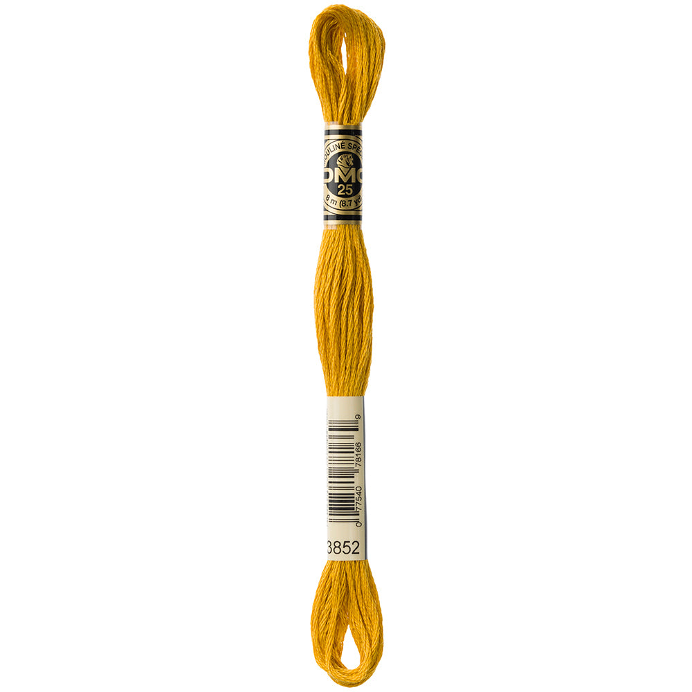 DMC #117 Cotton 6 Strand Floss 8m - 3852
