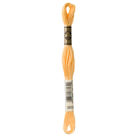 DMC #117 Cotton 6 Strand Floss 8m - 3855