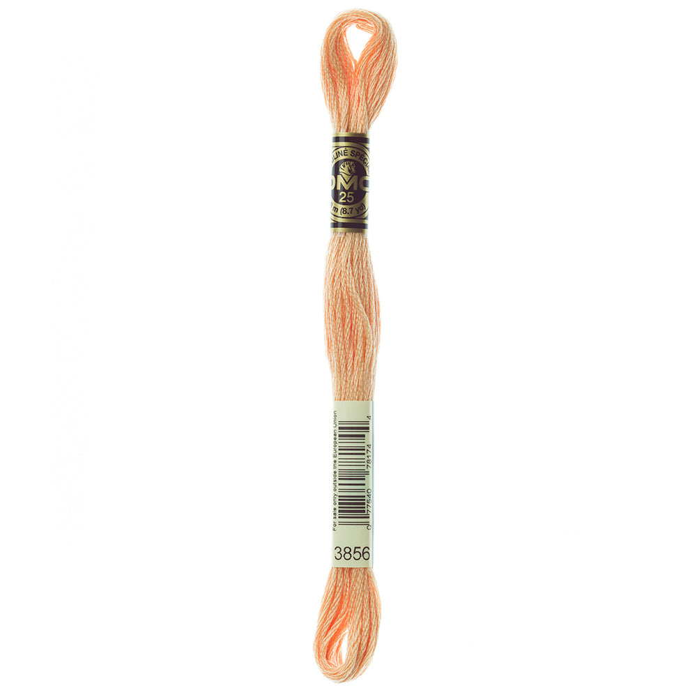 DMC #117 Cotton 6 Strand Floss 8m - 3856