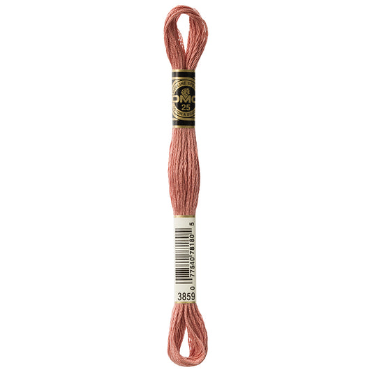 DMC #117 Cotton 6 Strand Floss 8m - 3859