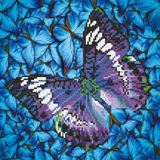 Flutter by Mauve 38X38