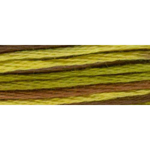 DMC #417F Color Variations Floss 8m - 4068