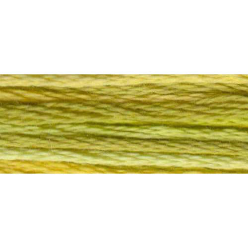 DMC #417F Color Variations Floss 8m - 4070