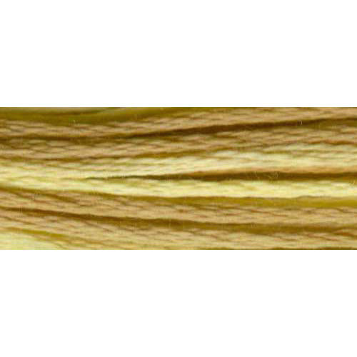DMC #417F Color Variations Floss 8m - 4073