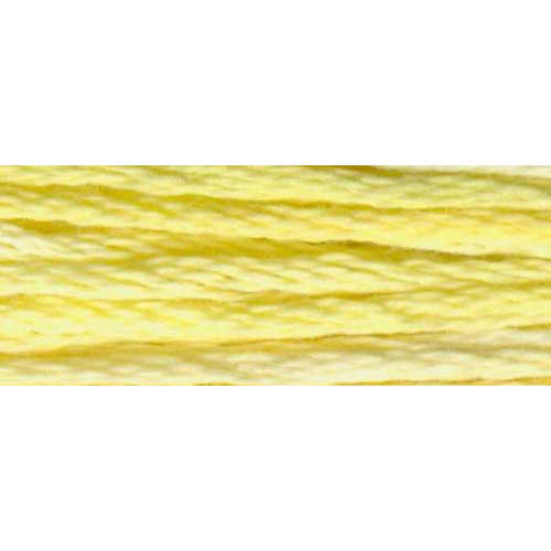 DMC #417F Color Variations Floss 8m - 4080