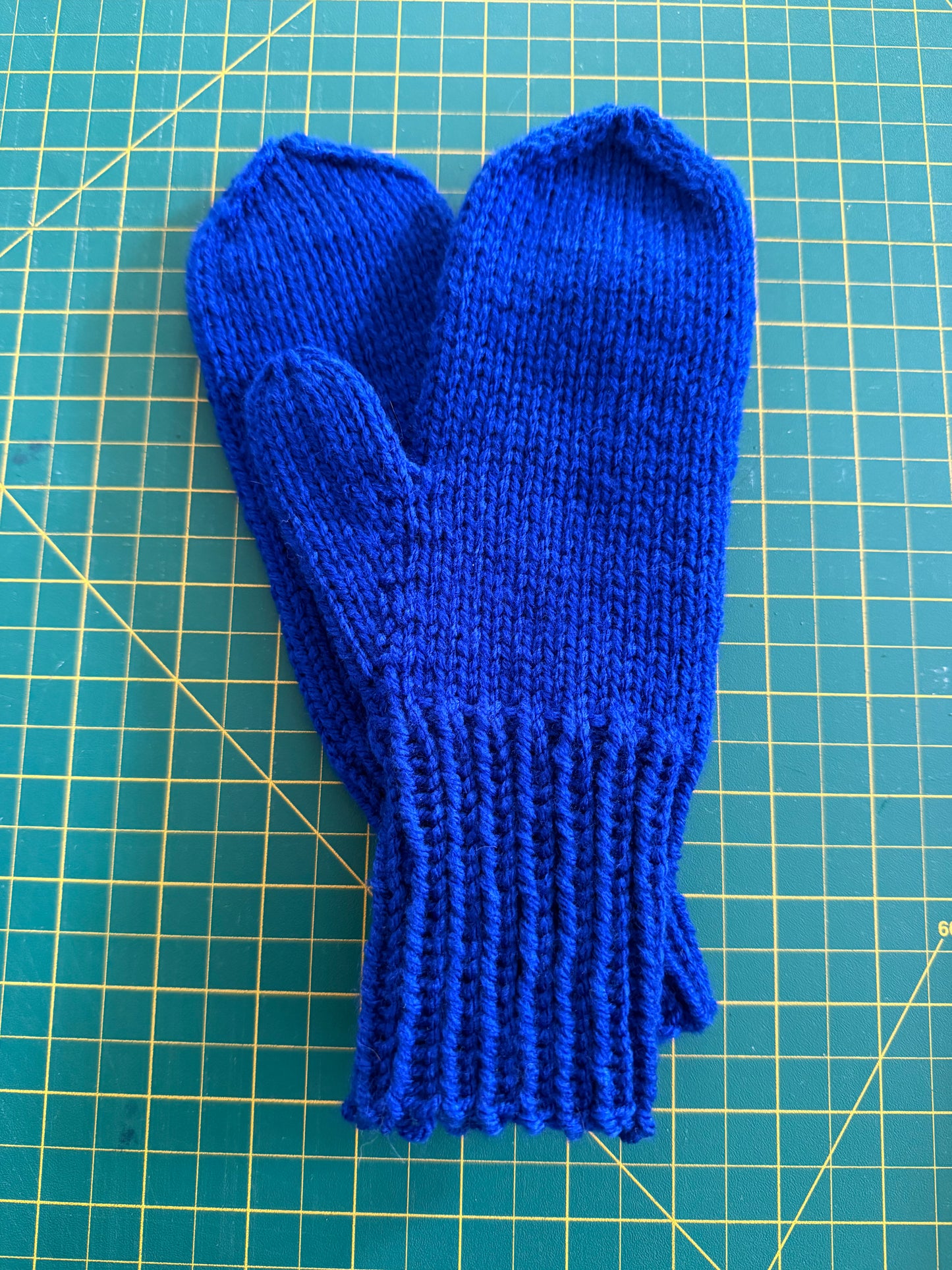 Learn to Knit Mittens Workshop-You choose the date