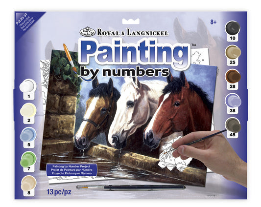 Junior Painting By Numbers, Large - Three of a Kind