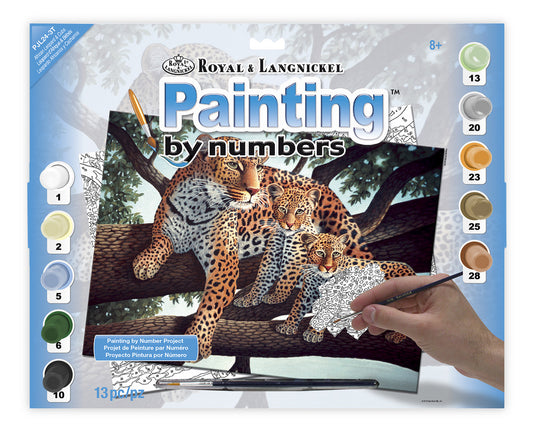 Junior Painting By Numbers, Large - African Leopard & Cubs
