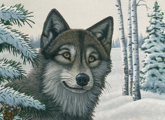 Junior Painting By Numbers, Large - Snow Wolf