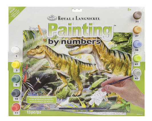Junior Painting By Numbers, Large - Double Trouble