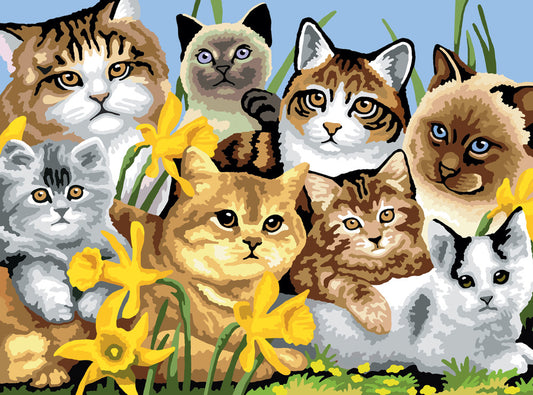 Junior Painting By Numbers, Large - Cats Montage