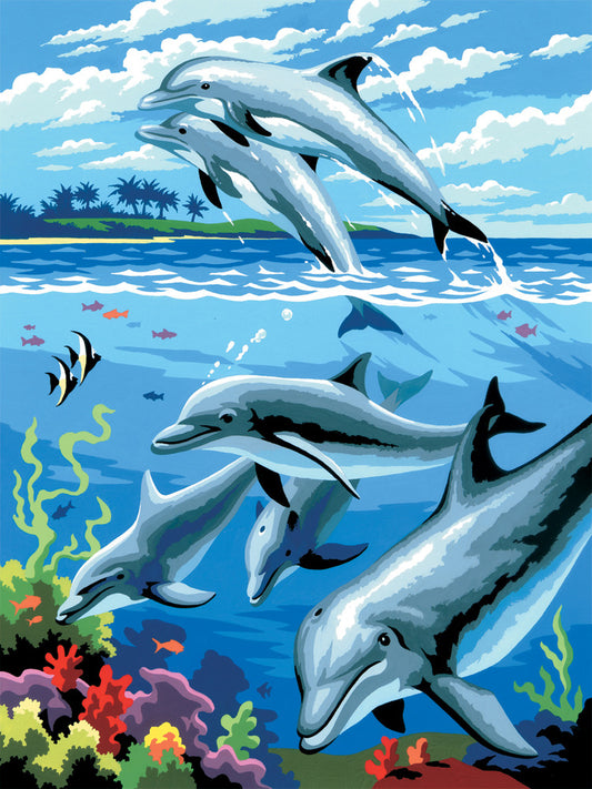Junior Painting By Numbers, Small - Dolphins