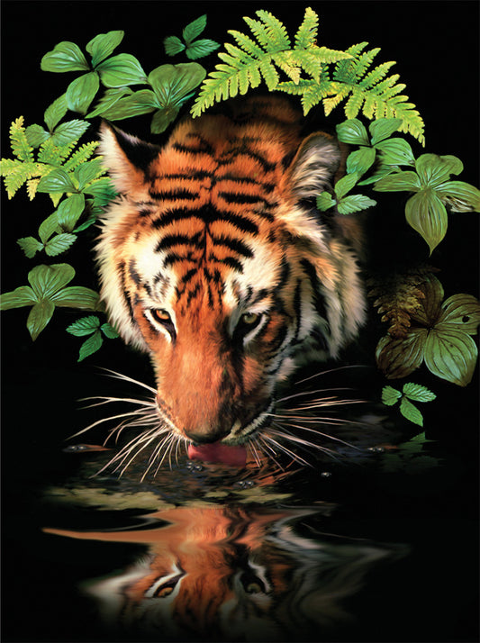 Junior Painting By Numbers, Small - Thirsty Tiger