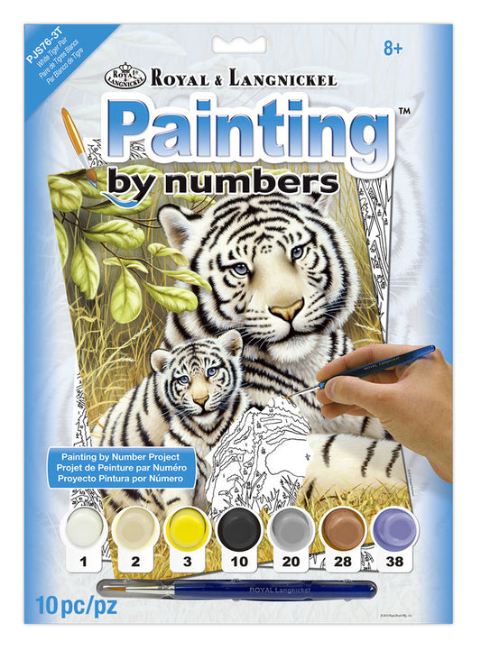 Junior Painting By Numbers, Small - White Tiger Pair