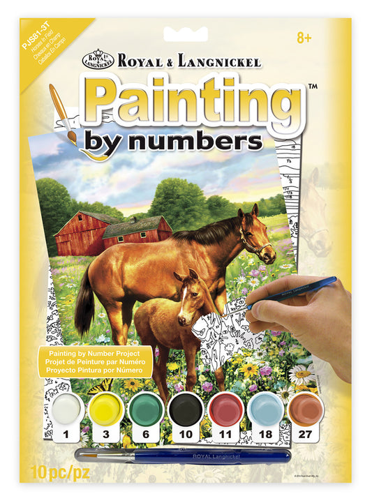 Junior Painting By Numbers, Small - Horses In The Field