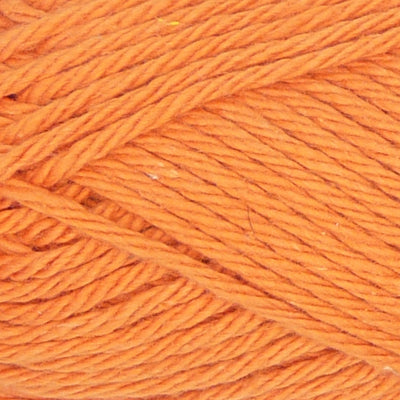 Sudz Solid - Carrot
